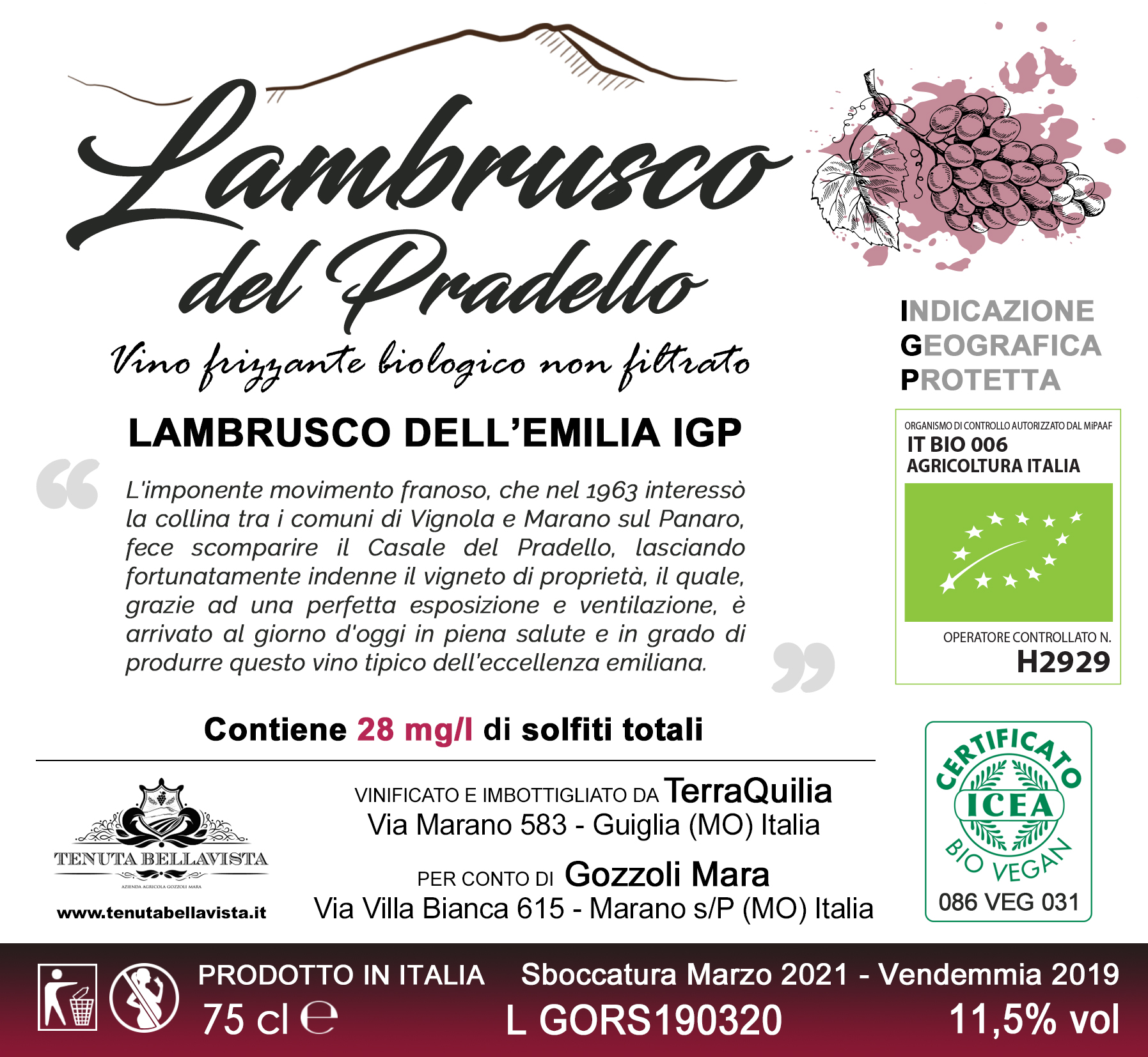 retro-lambrusco-del-pradello.jpg